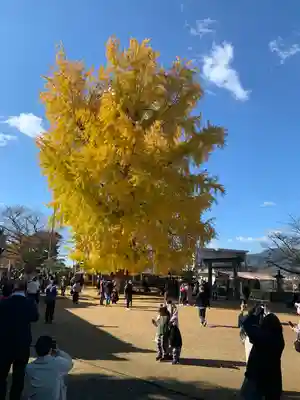 丹生酒殿神社の自然