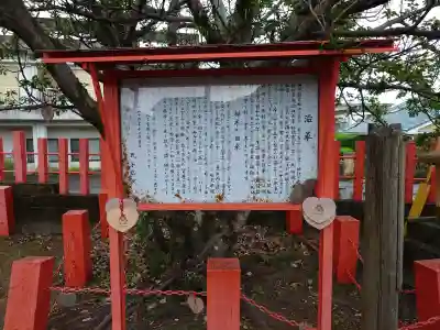 若宮神社(鹿児島県)
