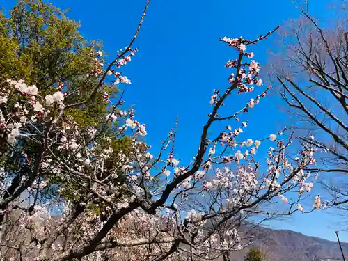 眞田神社(長野県)