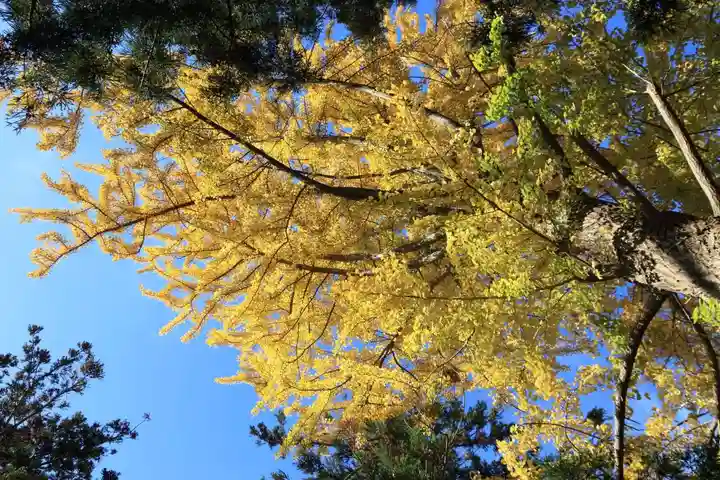 東館稲荷神社の自然