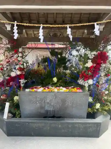 金蛇水神社の{uncategorized: "未分類", other: "その他", undefined: "問題あり", building: "その他建物", grave: "お墓", sacred_gate: "鳥居", guardian: "狛犬", statue: "像", buddha: "仏像", history: "歴史", nature: "自然", garden: "庭園", animal: "動物", pagoda: "塔", temizu: "手水舎", mountain_gate: "山門・神門", sanctuary: "本殿・本堂", subordinate: "末社・摂社", art: "芸術", scenery: "景色", jizo: "地蔵", ema: "絵馬", goshuin: "御朱印", omikuji: "おみくじ", items: "授与品その他", amulet: "お守り", goshuincho: "御朱印帳", eats: "食事", festival: "お祭り", votive_dance: "神楽", shichigosan: "七五三参", wedding: "結婚式", experience: "体験その他", initially: "初詣", around: "周辺", anti_infection: "感染症対策"}