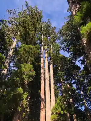 高野山金剛峯寺奥の院(和歌山県)