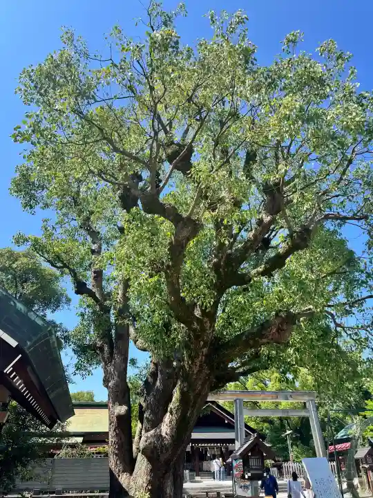 和泉國一之宮 大鳥大社(大阪府)