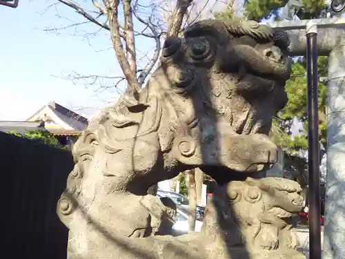 鴻神社の狛犬