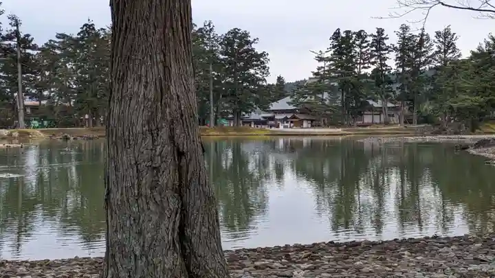 毛越寺(岩手県)