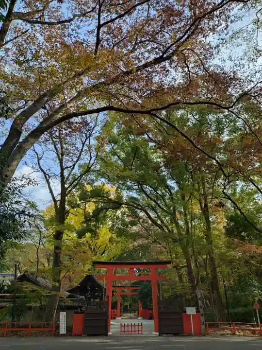 河合神社(鴨川合坐小社宅神社)の鳥居