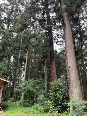 大宮温泉神社(栃木県)