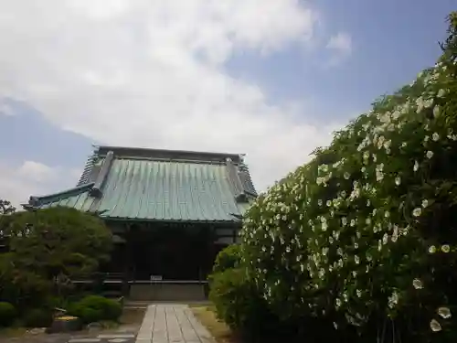 九品寺の本殿・本堂