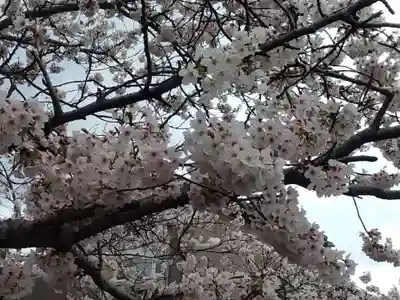 報国寺(神奈川県)