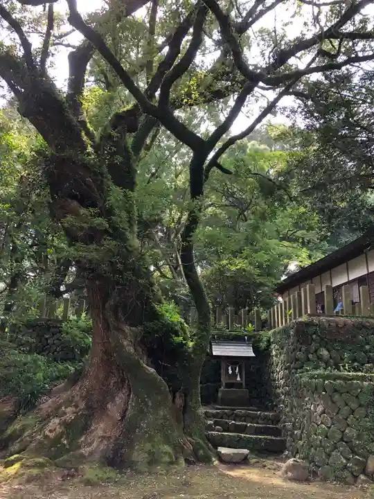 都萬神社の自然