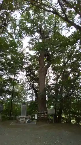 義經神社の自然