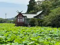 水沼神社(宮崎県)