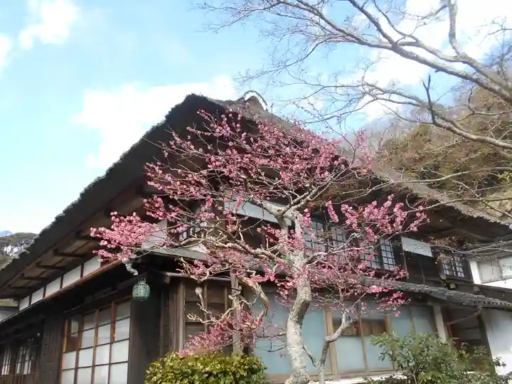 海蔵寺の本殿・本堂