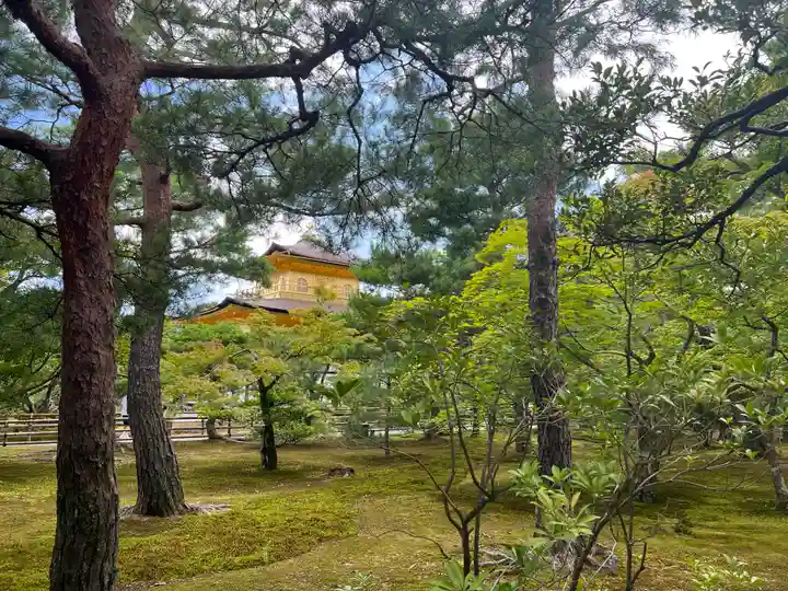鹿苑寺(金閣寺)(京都府)