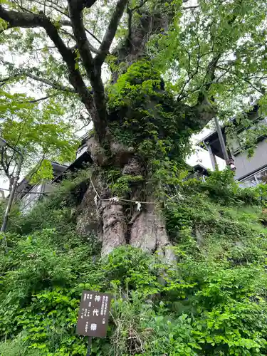 武蔵御嶽神社(東京都)