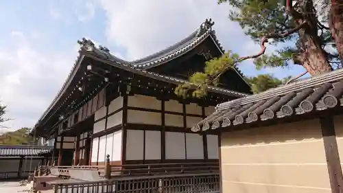 高台寺（高台寿聖禅寺・高臺寺）(京都府)
