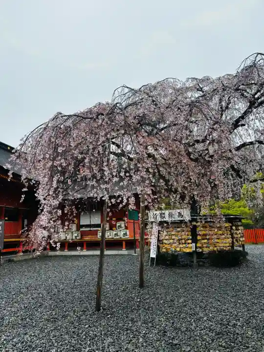 富士山本宮浅間大社の{uncategorized: "未分類", other: "その他", undefined: "問題あり", building: "その他建物", grave: "お墓", sacred_gate: "鳥居", guardian: "狛犬", statue: "像", buddha: "仏像", history: "歴史", nature: "自然", garden: "庭園", animal: "動物", pagoda: "塔", temizu: "手水舎", mountain_gate: "山門・神門", sanctuary: "本殿・本堂", subordinate: "末社・摂社", art: "芸術", scenery: "景色", jizo: "地蔵", ema: "絵馬", goshuin: "御朱印", omikuji: "おみくじ", items: "授与品その他", amulet: "お守り", goshuincho: "御朱印帳", eats: "食事", festival: "お祭り", votive_dance: "神楽", shichigosan: "七五三参", wedding: "結婚式", experience: "体験その他", initially: "初詣", around: "周辺", anti_infection: "感染症対策"}