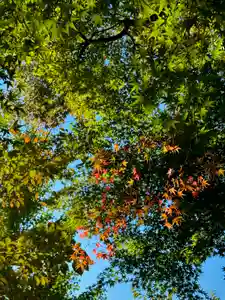 伊達神社(北海道)(2024年10月17日(木) 17時36分22秒投稿)