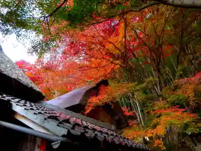 教林坊(滋賀県)