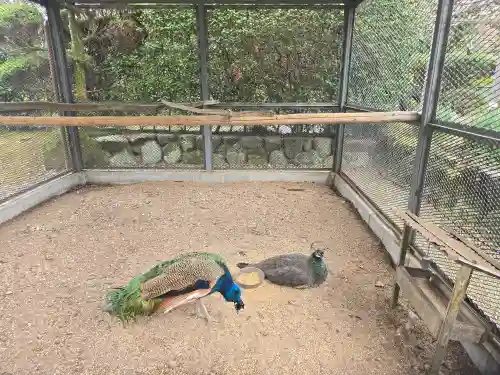 天台宗 五大山 白毫寺(兵庫県)