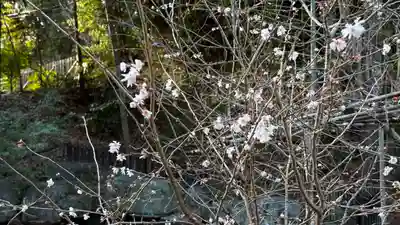 相馬中村神社(福島県)