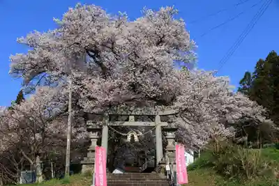 諏訪神社の鳥居