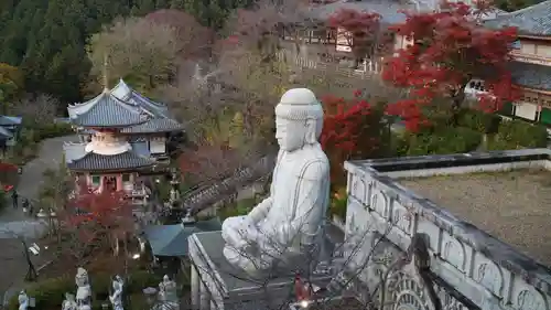 南法華寺（壷阪寺）の仏像