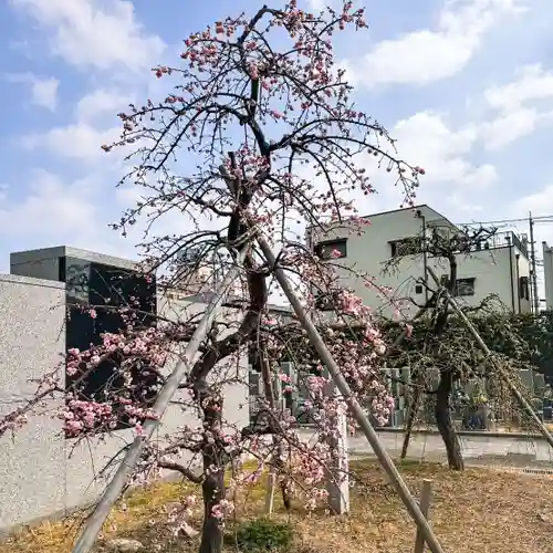 伊勢の国 四天王寺(三重県)