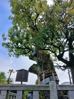 安国院の{uncategorized: "未分類", other: "その他", undefined: "問題あり", building: "その他建物", grave: "お墓", sacred_gate: "鳥居", guardian: "狛犬", statue: "像", buddha: "仏像", history: "歴史", nature: "自然", garden: "庭園", animal: "動物", pagoda: "塔", temizu: "手水舎", mountain_gate: "山門・神門", sanctuary: "本殿・本堂", subordinate: "末社・摂社", art: "芸術", scenery: "景色", jizo: "地蔵", ema: "絵馬", goshuin: "御朱印", omikuji: "おみくじ", items: "授与品その他", amulet: "お守り", goshuincho: "御朱印帳", eats: "食事", festival: "お祭り", votive_dance: "神楽", shichigosan: "七五三参", wedding: "結婚式", experience: "体験その他", initially: "初詣", around: "周辺", anti_infection: "感染症対策"}