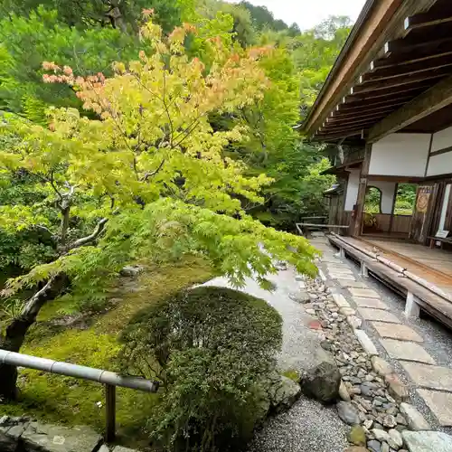 二尊院の庭園