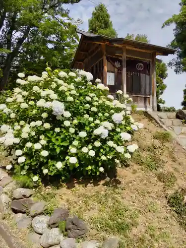 金乗院放光寺の末社・摂社