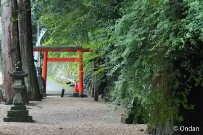 丹生川上神社（中社）(奈良県)