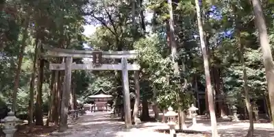 比良天満宮・樹下神社(滋賀県)