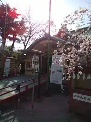 須賀神社の本殿・本堂