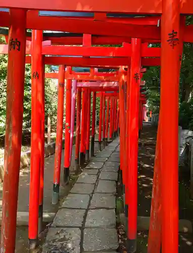 根津神社の鳥居