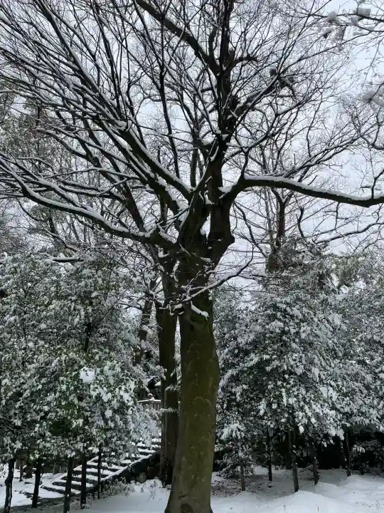 若宮神明社の{uncategorized: "未分類", other: "その他", undefined: "問題あり", building: "その他建物", grave: "お墓", sacred_gate: "鳥居", guardian: "狛犬", statue: "像", buddha: "仏像", history: "歴史", nature: "自然", garden: "庭園", animal: "動物", pagoda: "塔", temizu: "手水舎", mountain_gate: "山門・神門", sanctuary: "本殿・本堂", subordinate: "末社・摂社", art: "芸術", scenery: "景色", jizo: "地蔵", ema: "絵馬", goshuin: "御朱印", omikuji: "おみくじ", items: "授与品その他", amulet: "お守り", goshuincho: "御朱印帳", eats: "食事", festival: "お祭り", votive_dance: "神楽", shichigosan: "七五三参", wedding: "結婚式", experience: "体験その他", initially: "初詣", around: "周辺", anti_infection: "感染症対策"}