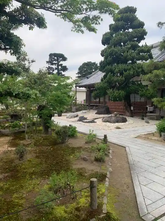 圓光禅寺(円光寺)の庭園