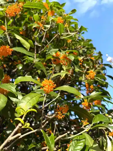 福王山  慈眼寺(東京都)