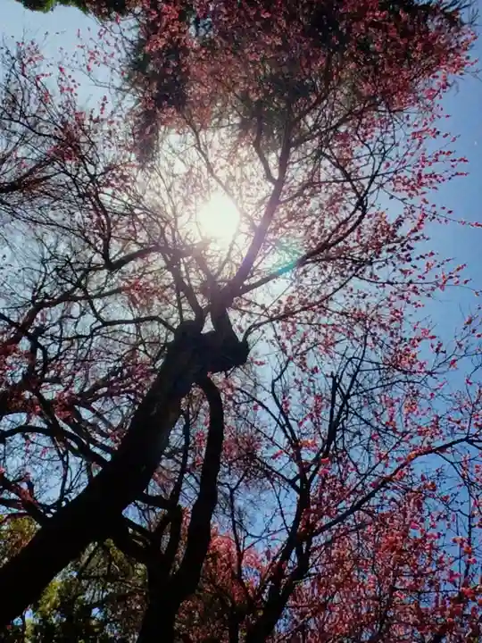田端神社(東京都)