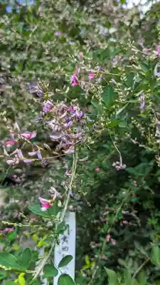 梨木神社(京都府)