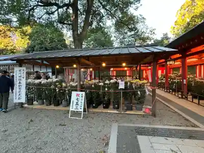 武蔵一宮氷川神社(埼玉県)