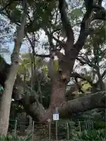 矢倉神社(静岡県)