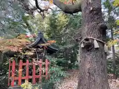 稗田神社の末社