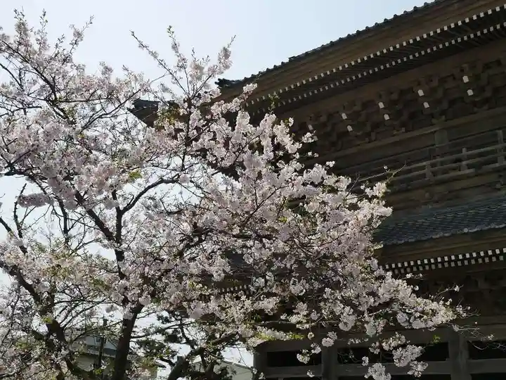 光明寺の山門・神門
