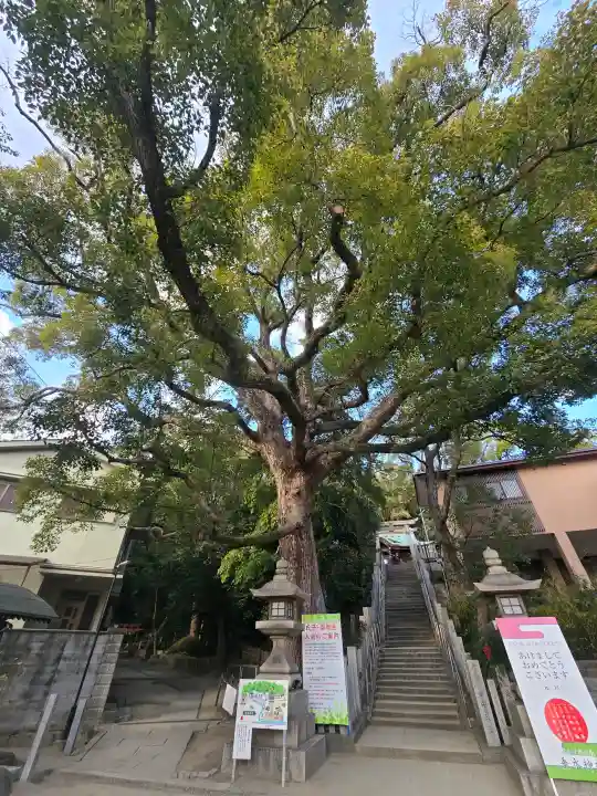 垂水神社の{uncategorized: "未分類", other: "その他", undefined: "問題あり", building: "その他建物", grave: "お墓", sacred_gate: "鳥居", guardian: "狛犬", statue: "像", buddha: "仏像", history: "歴史", nature: "自然", garden: "庭園", animal: "動物", pagoda: "塔", temizu: "手水舎", mountain_gate: "山門・神門", sanctuary: "本殿・本堂", subordinate: "末社・摂社", art: "芸術", scenery: "景色", jizo: "地蔵", ema: "絵馬", goshuin: "御朱印", omikuji: "おみくじ", items: "授与品その他", amulet: "お守り", goshuincho: "御朱印帳", eats: "食事", festival: "お祭り", votive_dance: "神楽", shichigosan: "七五三参", wedding: "結婚式", experience: "体験その他", initially: "初詣", around: "周辺", anti_infection: "感染症対策"}