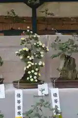 高麗神社の建物その他