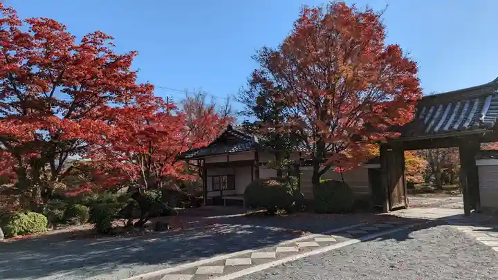 神光院(京都府)