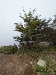 戸隠神社奥社(長野県)