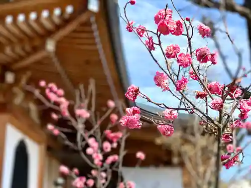 善光寺大本願の自然