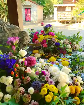 滑川神社 - 仕事と子どもの守り神の手水舎